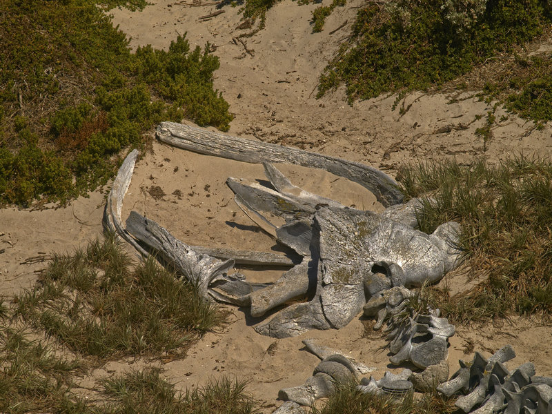 Kangaroo Island